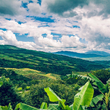 Load image into Gallery viewer, Yunnan Dongka | Dark Roast | Washed Process