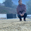 Load image into Gallery viewer, Santa Marta | Medium Roast