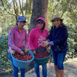 Load image into Gallery viewer, Santa Marta | Medium Roast