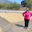 Load image into Gallery viewer, Santa Marta | Medium Roast