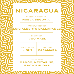 Nicaragua Honey Pacamara | Light Roast
