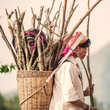 Load image into Gallery viewer, Yunnan Dongka | Dark Roast | Washed Process