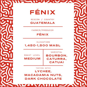 FÉNIX | Guatemala | Washed