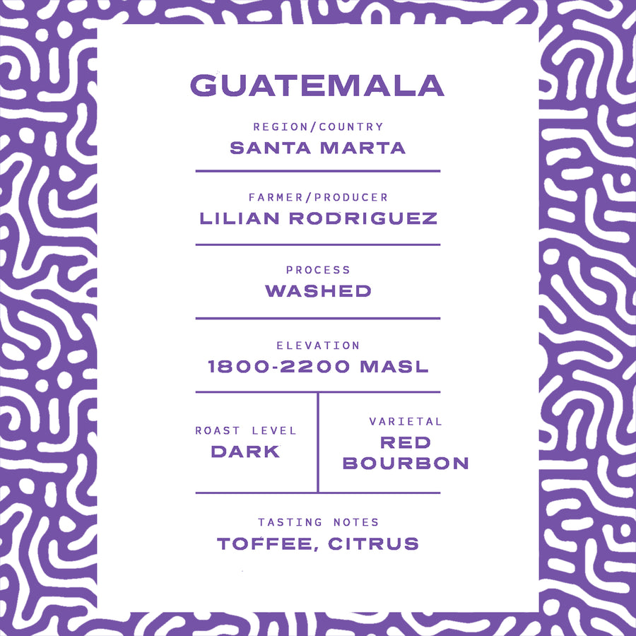 Guatemala | Medium Roast