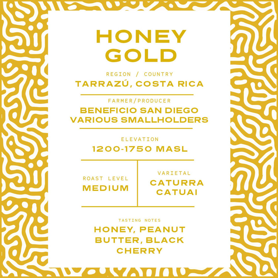 Honey Gold | Medium Roast | Honey Process